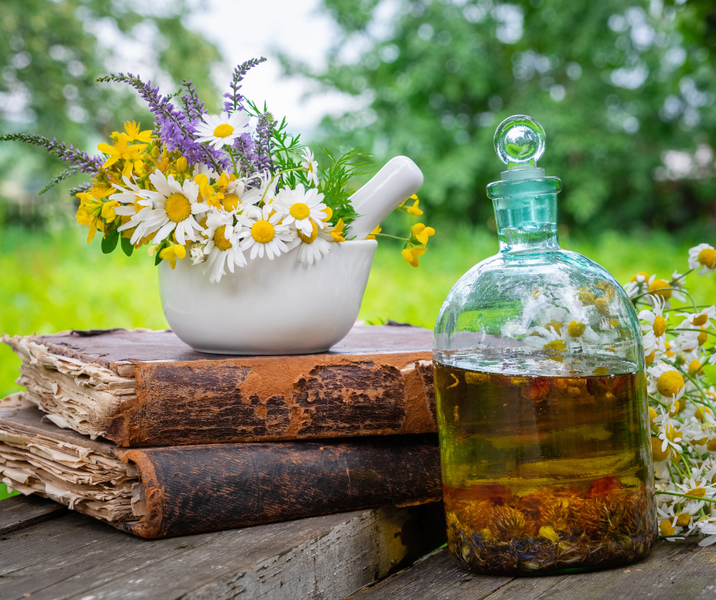 Five Herbal Allies for Calming Seasonal Skin Irritation