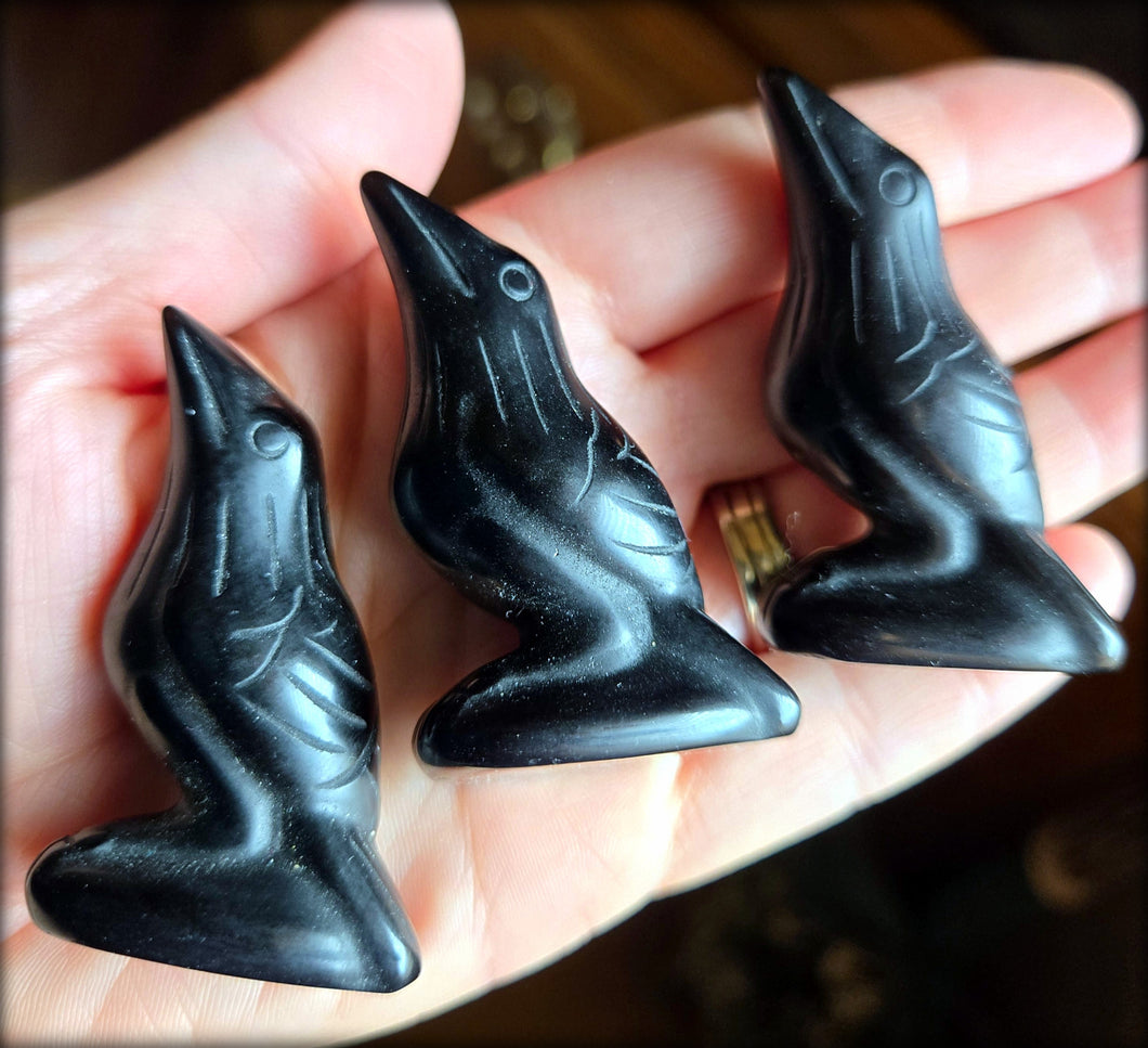 Black Obsidian Raven