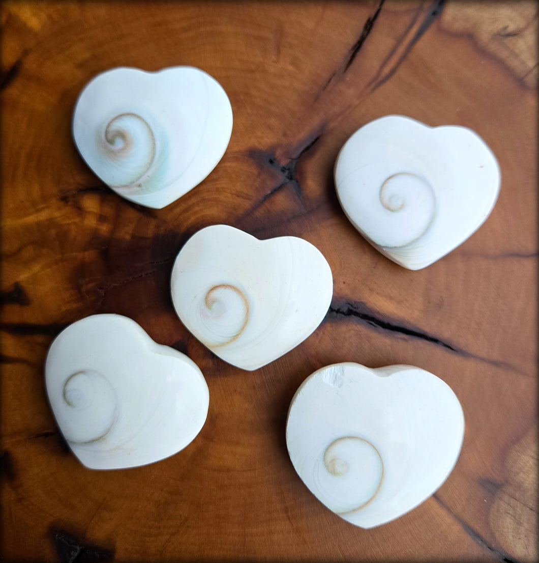 Shiva Eye Shell Heart